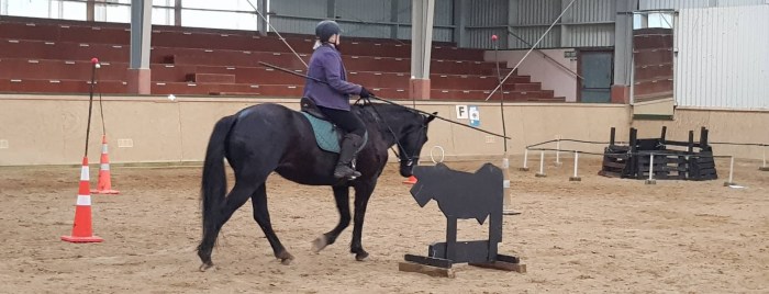 Working Equitation Bull and Spear in NZ