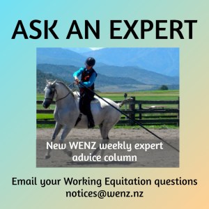 Ask an Expert